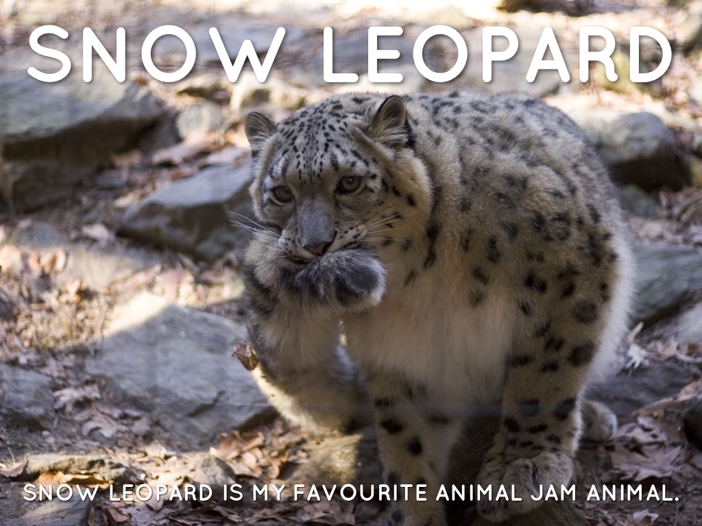 Snow leopard 10.6 7 download free